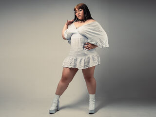 hot striptease web cam VelvetGinny